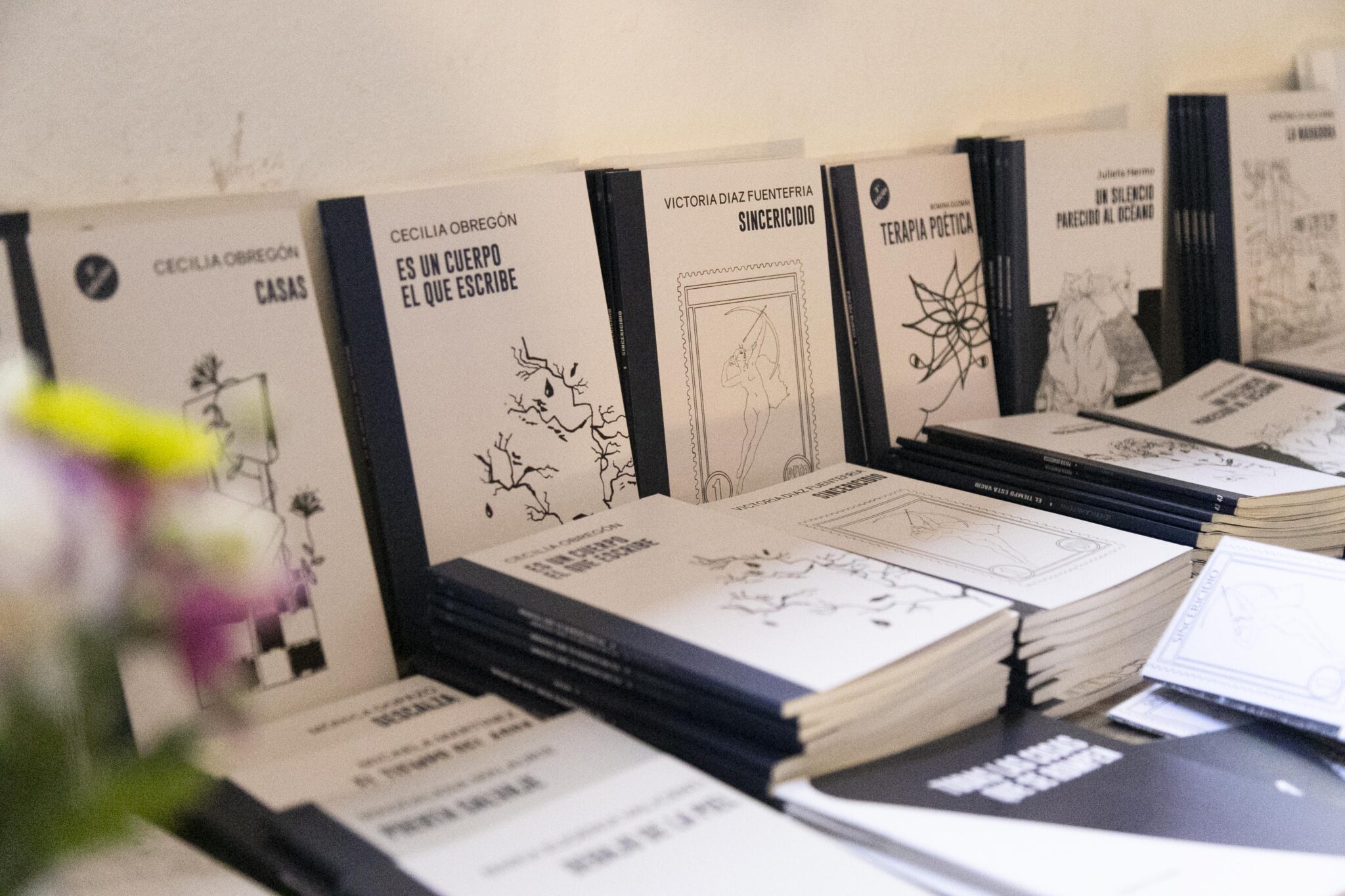 pareceamorpresentacionlibros (2)